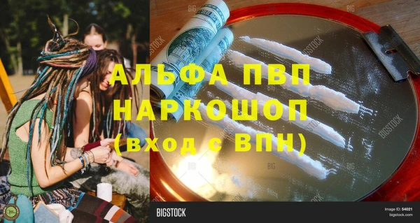 мет Алексин