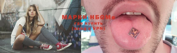 молекула духа Ельня