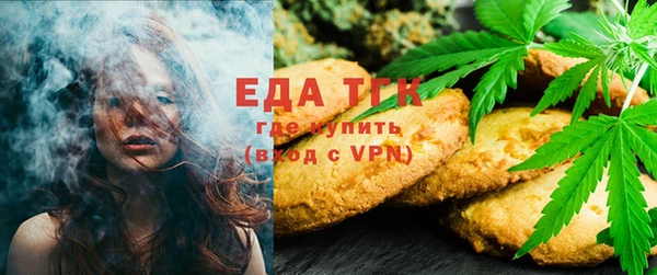 мет Алексин