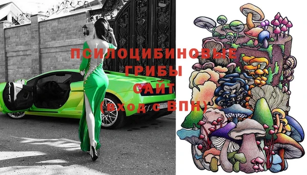 мяу мяу мука Алзамай