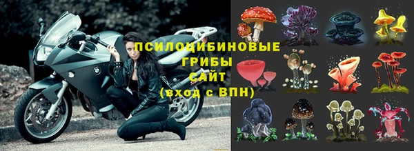 мет Алексин