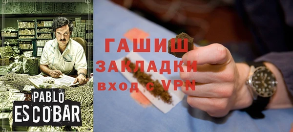 мет Алексин