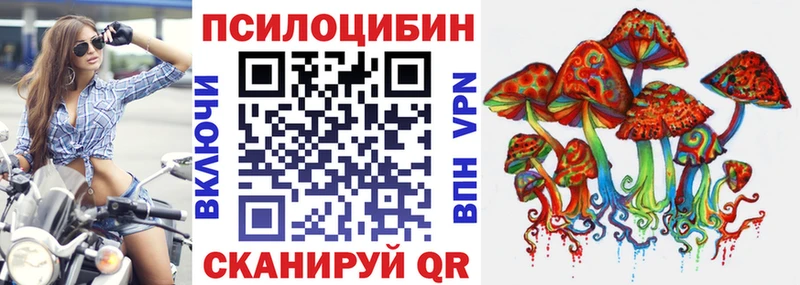 где купить   Лагань  Псилоцибиновые грибы Psilocybine cubensis 